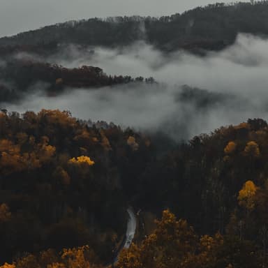 On Top Of Old Smoky (arr. Dominic Meccia)