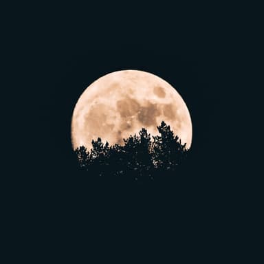 Halloween Songs Medley (arr. Caleb Spjute)