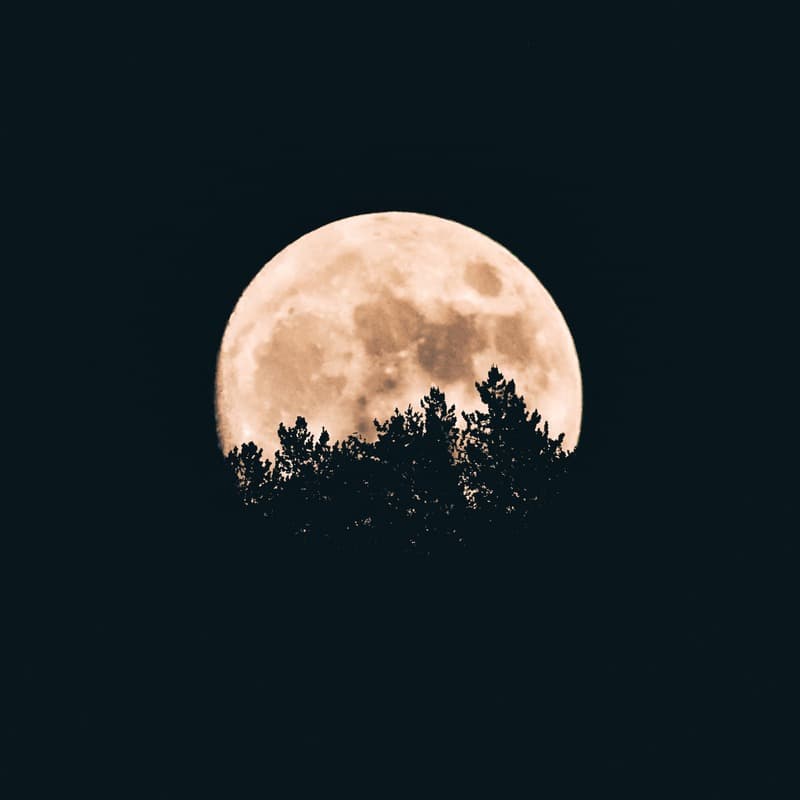 Halloween Songs Medley (arr. Caleb Spjute)