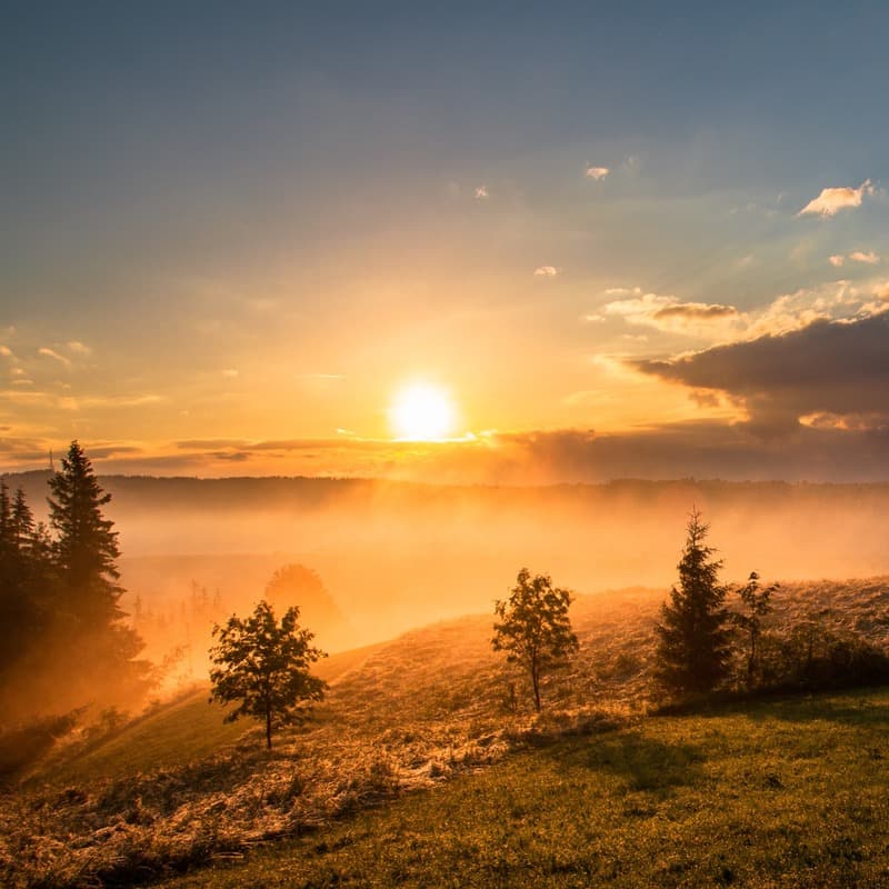 Carolina In The Morning (arr. Dominic Meccia)