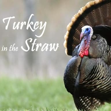 Turkey In The Straw (arr. Reese Rosbrook)