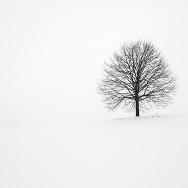 Winter Song (arr. Nick Labita)