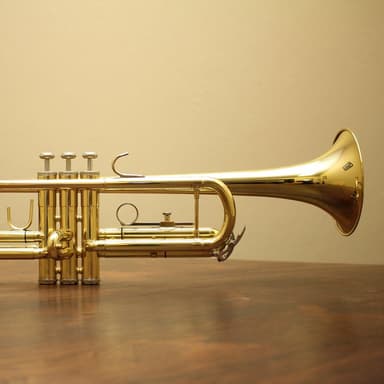 Minuet In G (arr. Dominic Meccia)