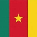 Cameroon National Anthem for String Orchestra (MFAO World National Anthem Series) (arr. Keith Terrett)