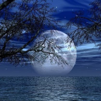 Clair de Lune (arr. Avgusta Udartseva)