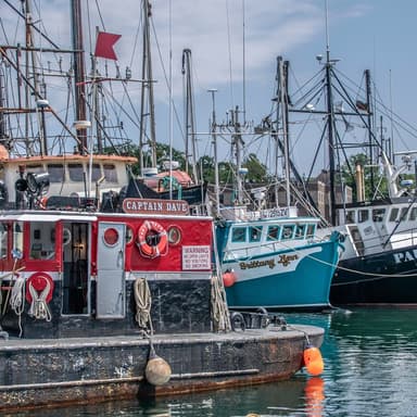 Shrimp Boats (arr. Dominic Meccia)