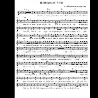 The Brightside - Violin