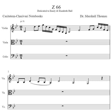 Z 66 for String Trio
