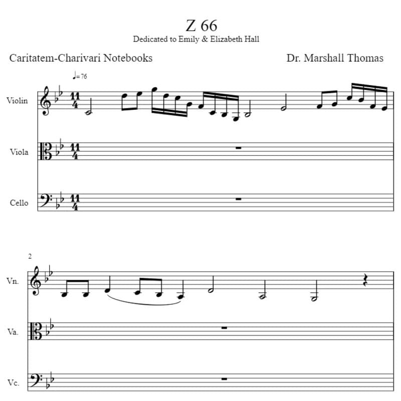 Z 66 for String Trio