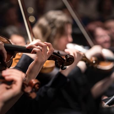 String Quartet no.1 in D-major