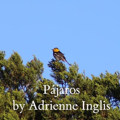 Pájaros (Birds) for solo flute and strings