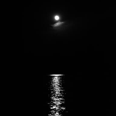 Moonlight Bay (arr. Dominic Meccia)