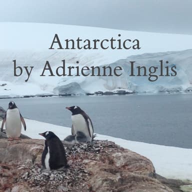 Antarctica for electronically processed flute