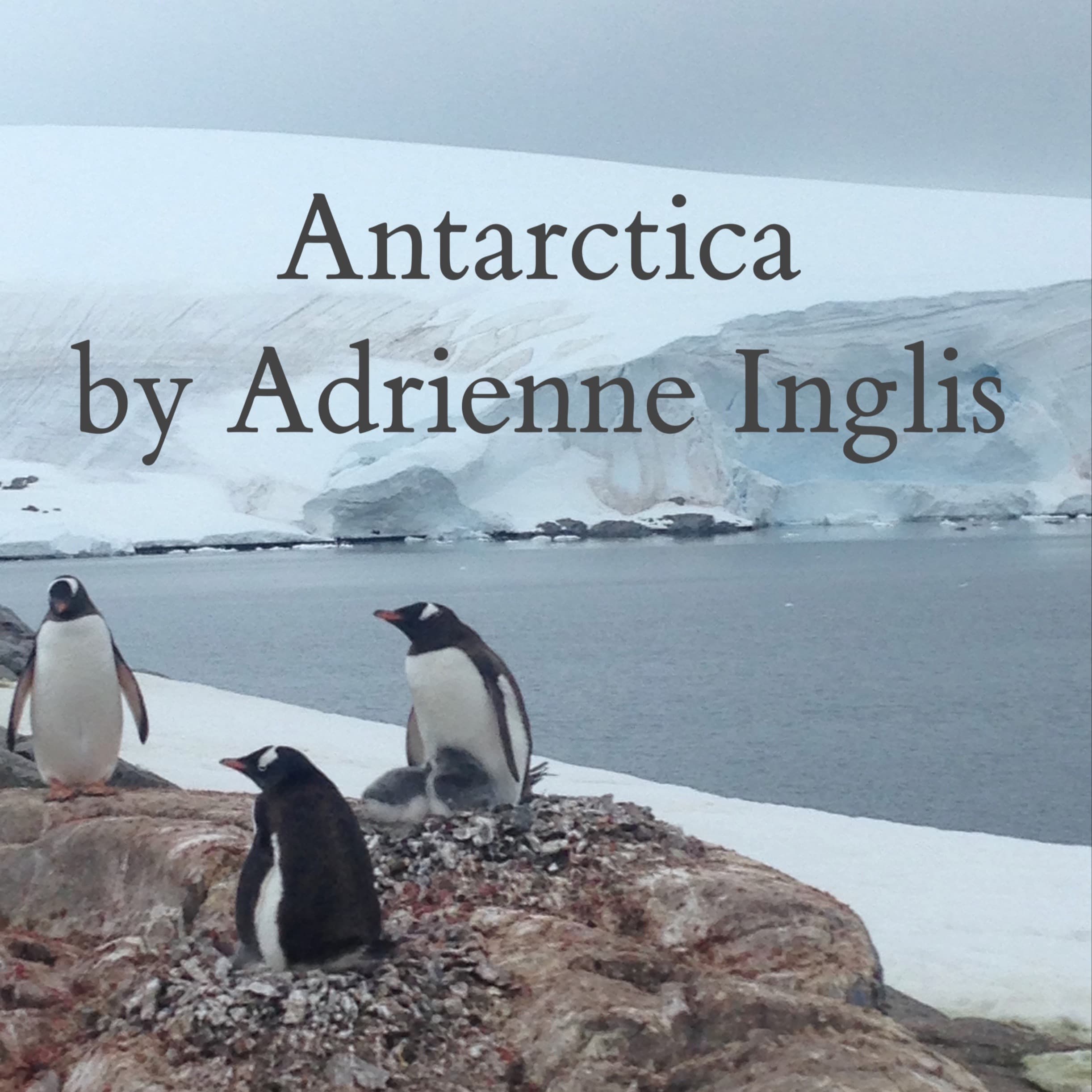 Antarctica for electronically processed flute
