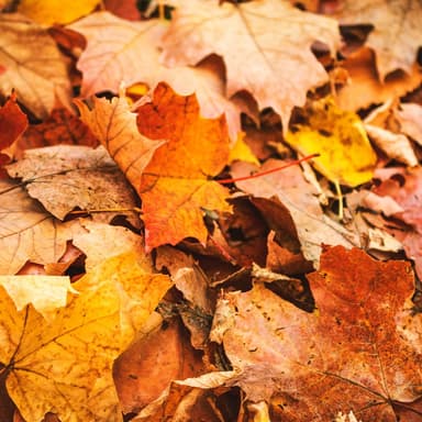 One Night in Late October
