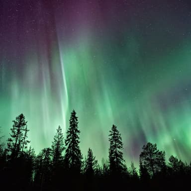 Boreal Sky