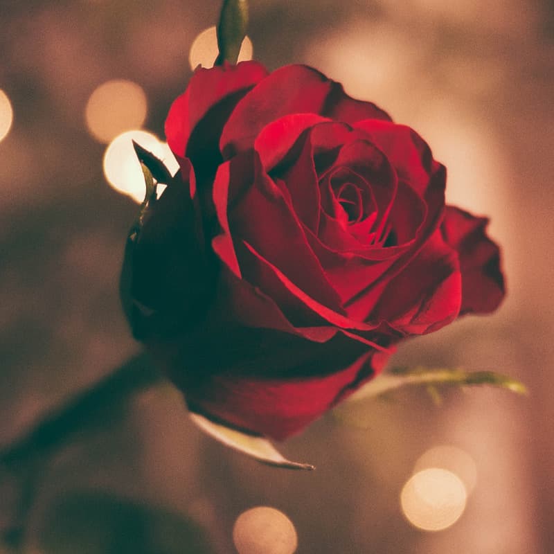 Careless Love (arr. Jim Ivy)