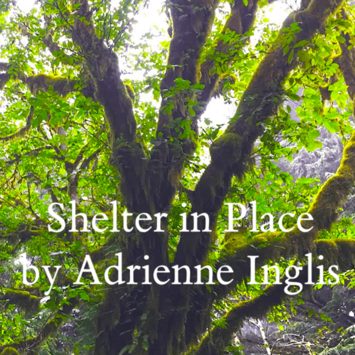 Shelter in Place for SSAATB chorus and nature soundtrack