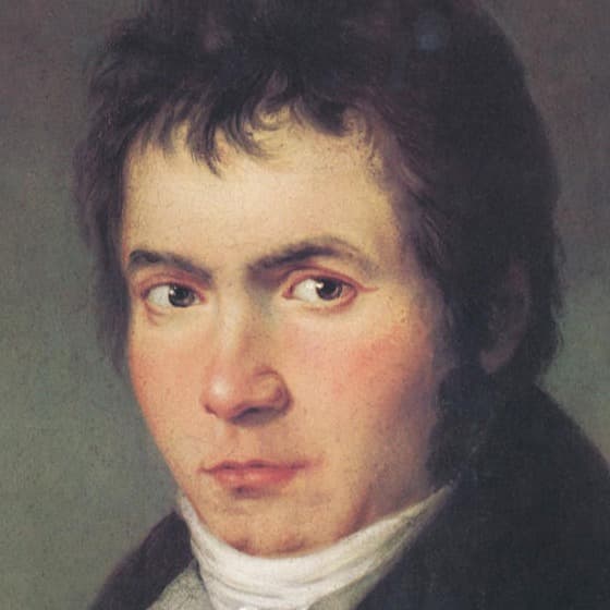 Beethoven: Duet WoO 26 for Alto & Bass Flute (arr. James Guthrie, ASCAP)