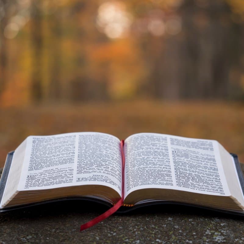 Come, Ye Thankful People, Come (arr. Dominic Meccia)