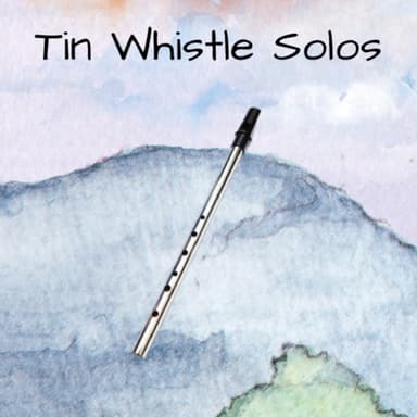 14 Folk Songs, Tin Whistle Solos (arr. Cindy Blevins)