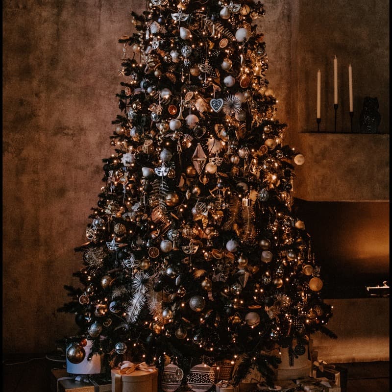 O Christmas Tree (arr. Dominic Meccia)