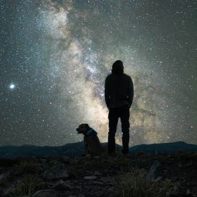It Came Upon The Midnight Clear (arr. Dominic Meccia)