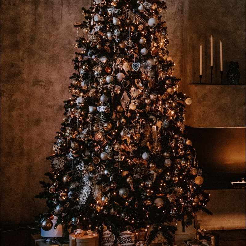 O Christmas Tree (arr. Dominic Meccia)