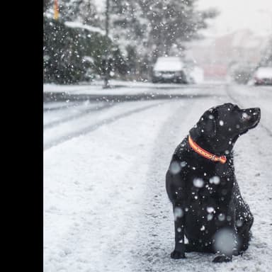 How Times Change for Bells