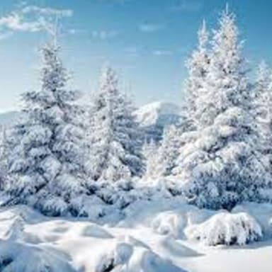 Largo, Winter from the Four Seasons (arr. Danielle Tavolacci)