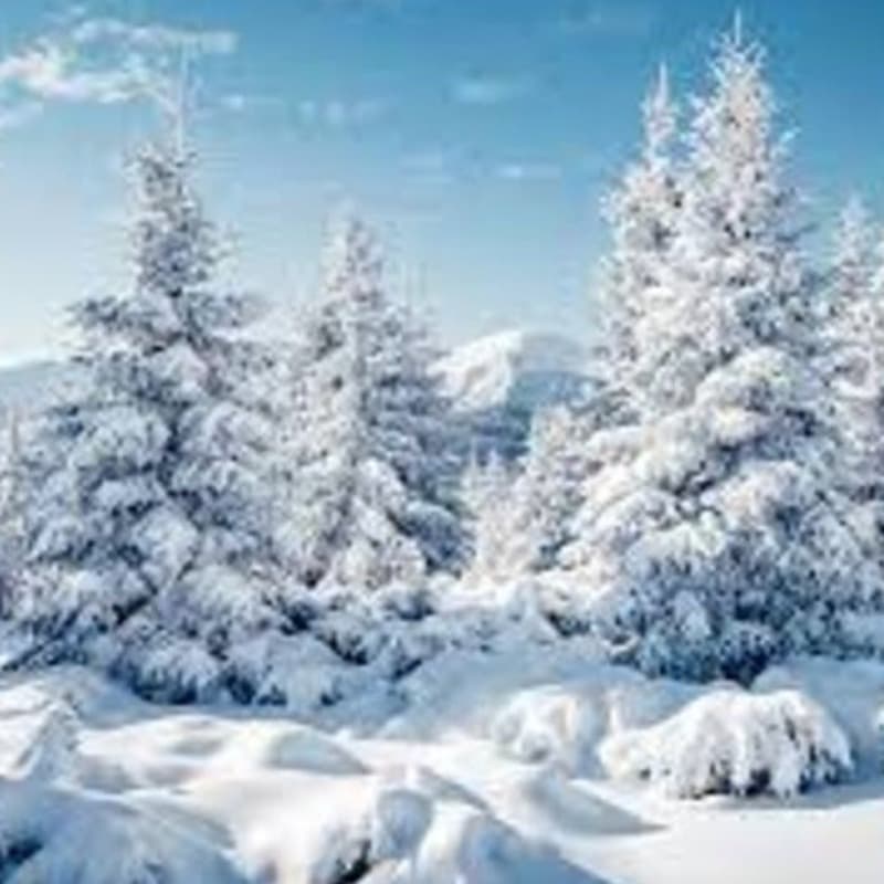 Largo, Winter from the Four Seasons (arr. Danielle Tavolacci)