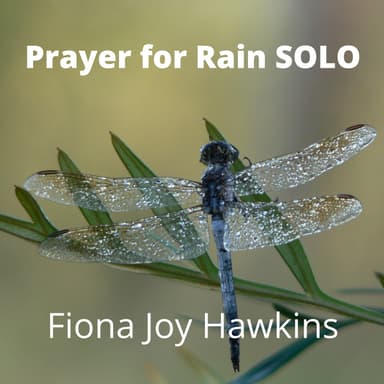 Prayer For Rain