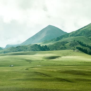 Green Grow The Rushes, O (arr. Dominic Meccia)