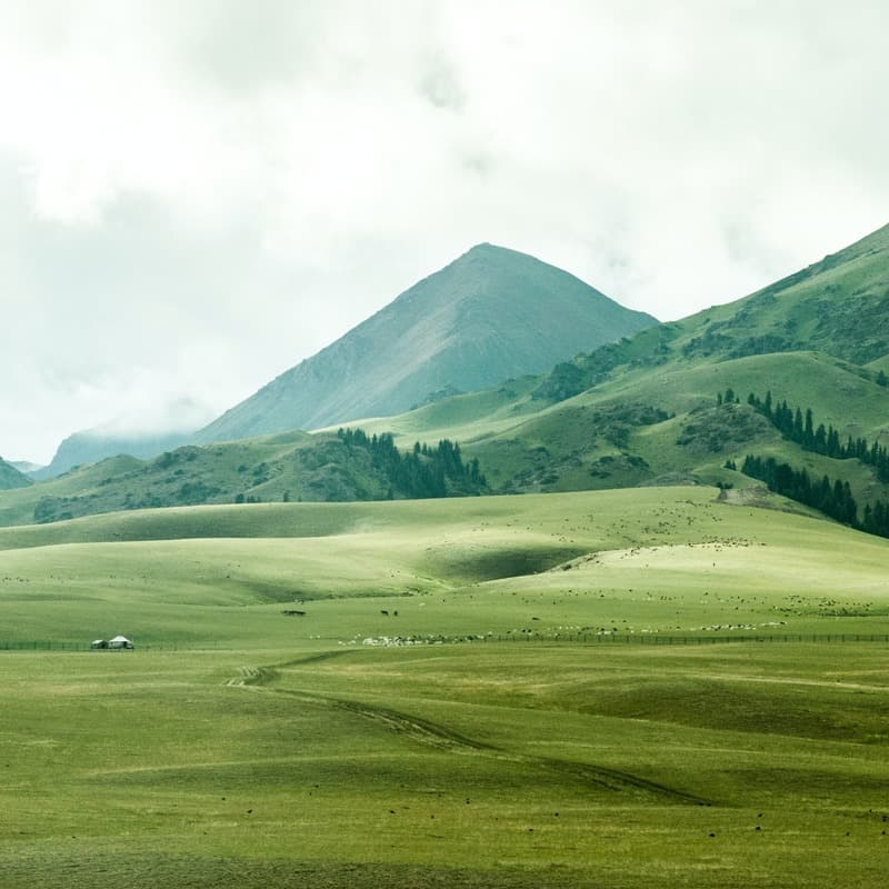 Green Grow The Rushes, O (arr. Dominic Meccia)