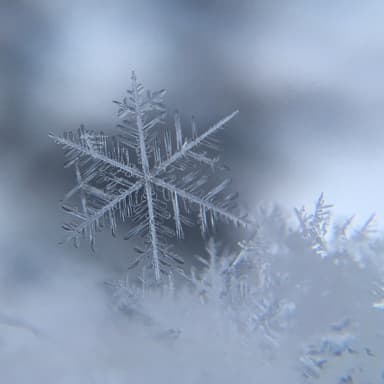 Snowflakes Falling