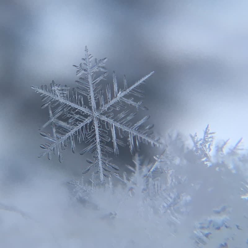 Snowflakes Falling