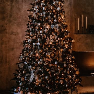 O Christmas Tree (arr. Dominic Meccia)