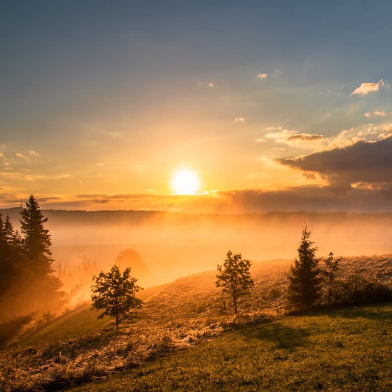 Carolina In The Morning (arr. Dominic Meccia)