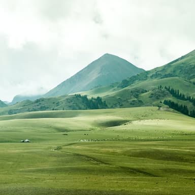 Green Grow The Rushes, O (arr. Dominic Meccia)