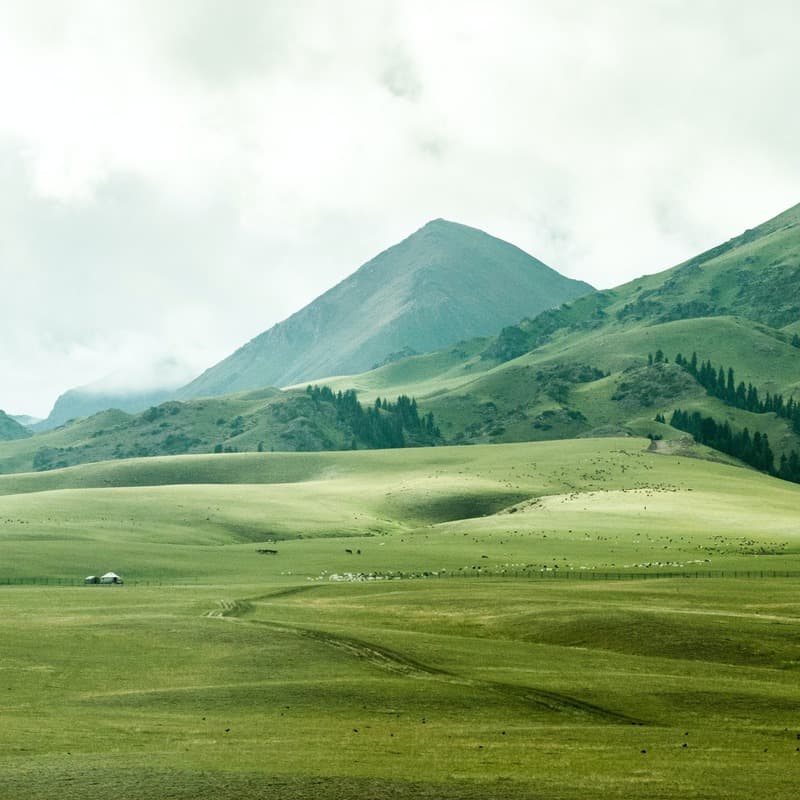 Green Grow The Rushes, O (arr. Dominic Meccia)