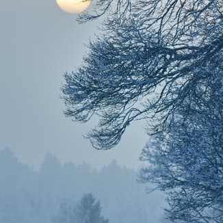 Silent Night (arr. Dominic Meccia)