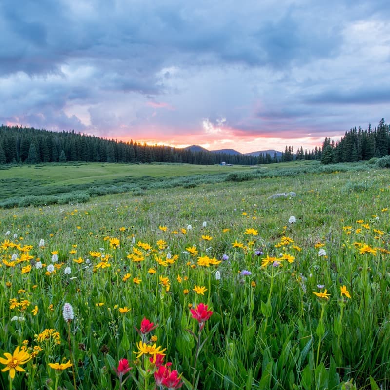 It Might As Well Be Spring (arr. Dominic Meccia)