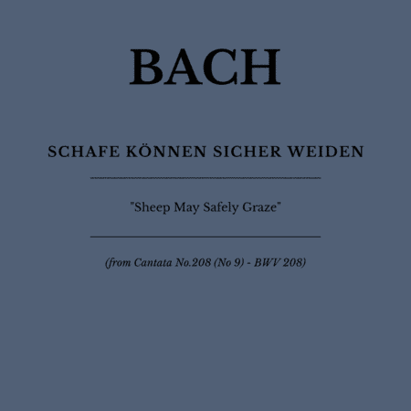 Aria: Schafe Können sicher weiden (Sheep May Safely Graze) - For Strings and Harpsichord (arr. Flávio Régis Cunha)