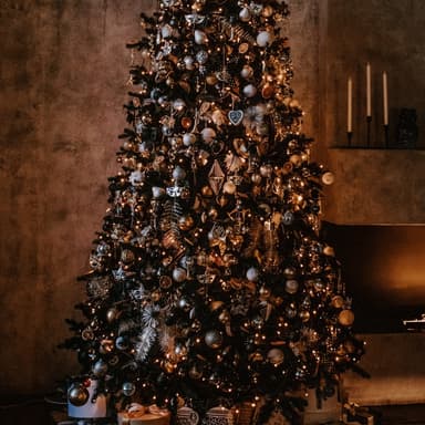 O Christmas Tree (arr. Dominic Meccia)