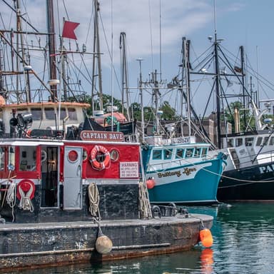 Shrimp Boats (arr. Dominic Meccia)
