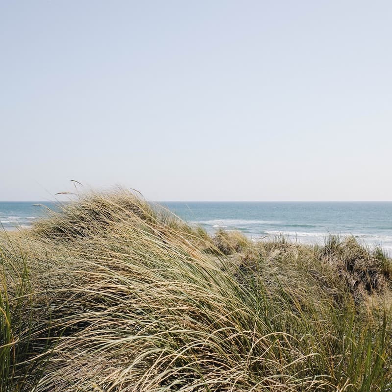 The Wind (arr. J. Randolph Hall)