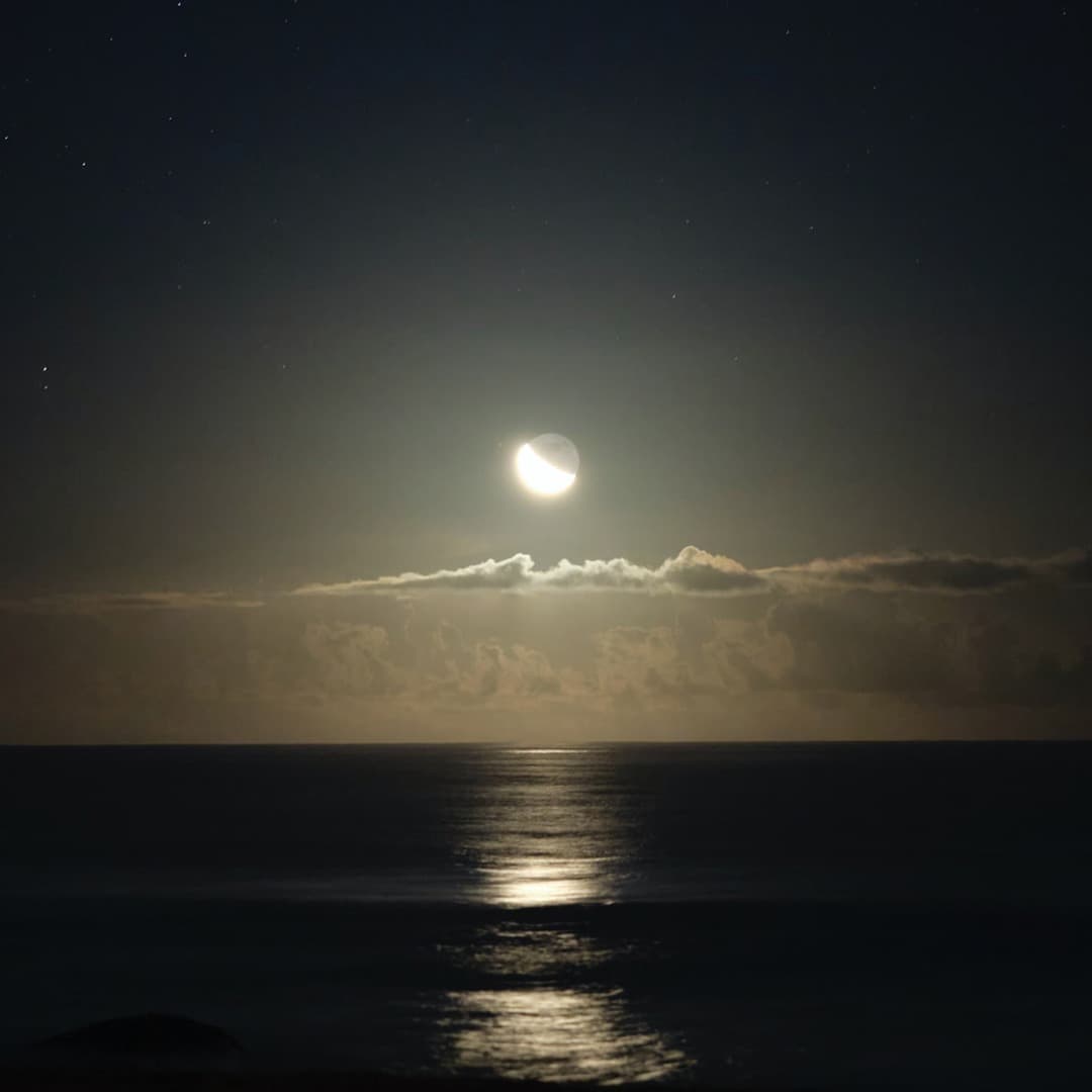 Moonlight Sonata - Advanced for Harp (arr. Christy-Lyn Dosé)