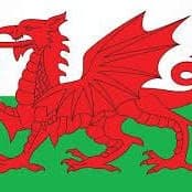 Welsh Regional Anthem for String Orchestra (World National Anthem Series) (arr. Keith Terrett)