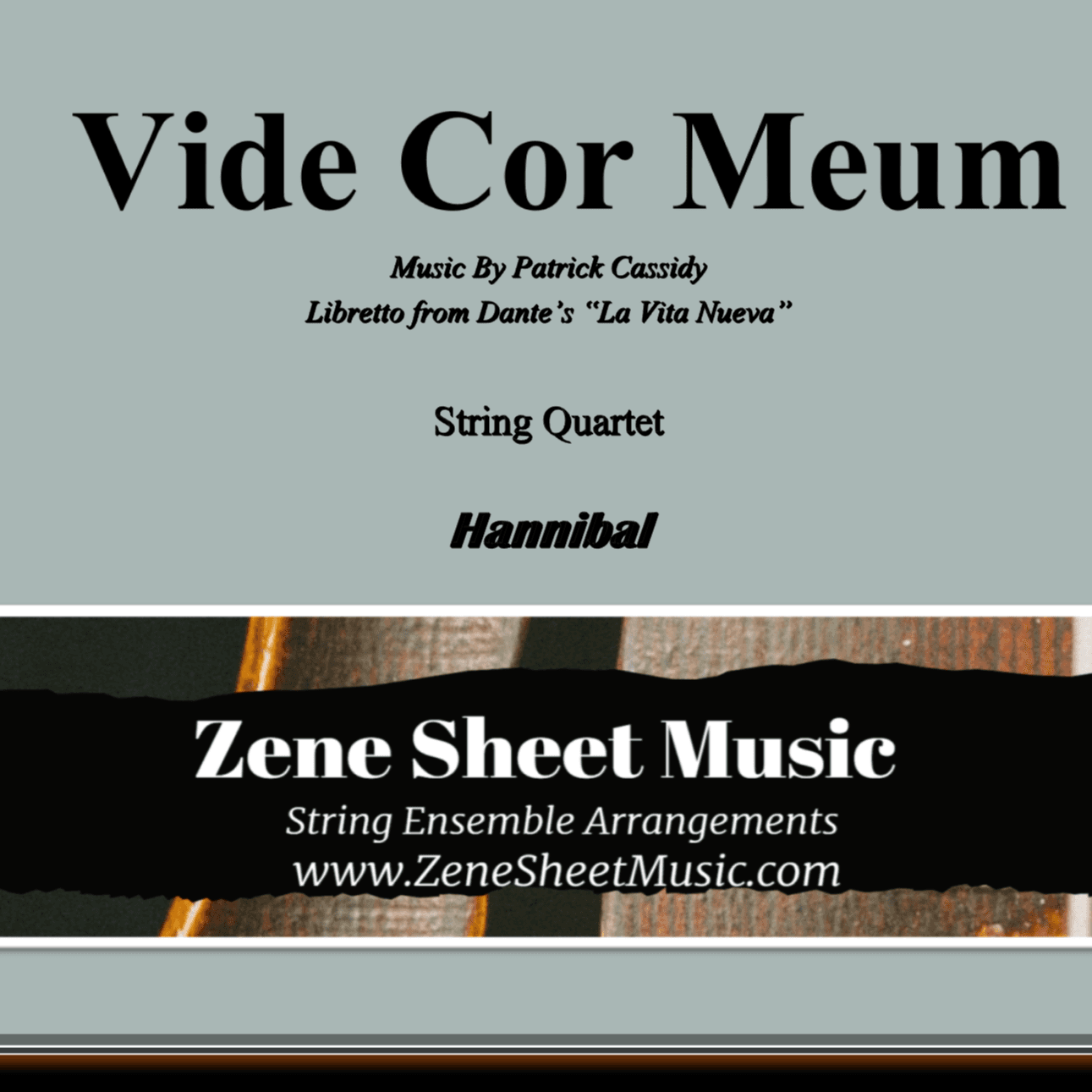 Vide Cor Meum  from HANNIBAL (arr. Eve C. Mailly - Zene Strings)