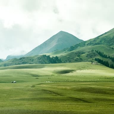 Green Grow The Rushes, O (arr. Dominic Meccia)